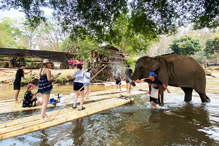清邁叢林漂流奇遇記｜近距離與大象互動、竹筏漂流與草藥球DIY體驗記