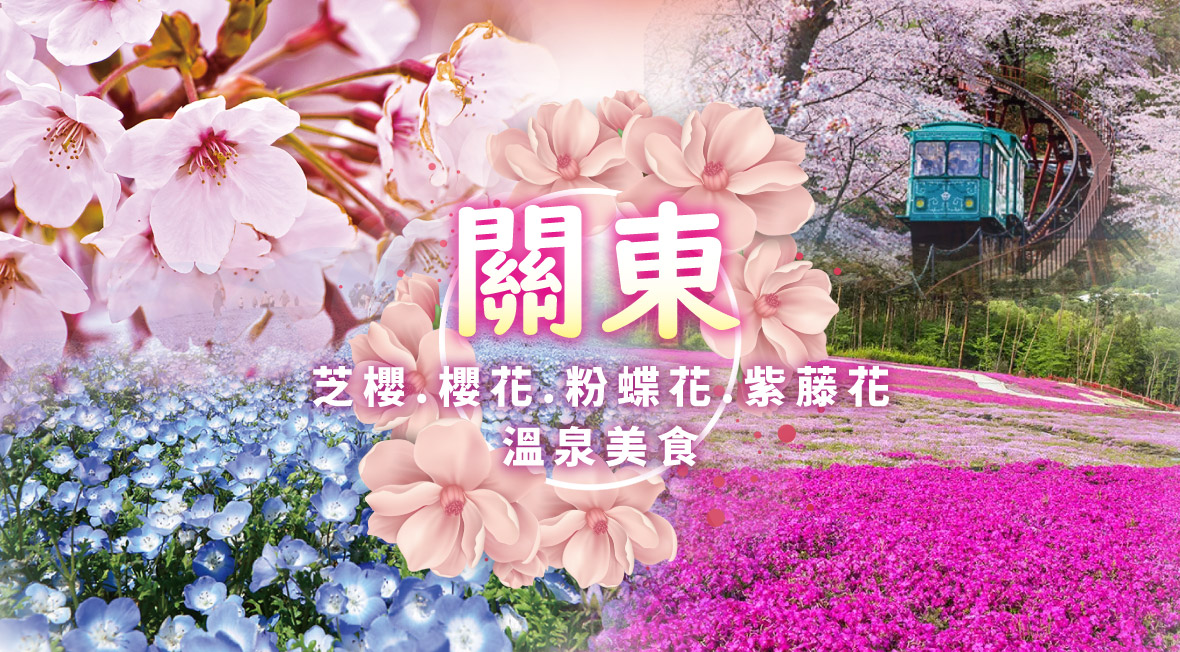 關東芝櫻.櫻花.粉蝶花.紫藤花溫泉美食5日(長榮)