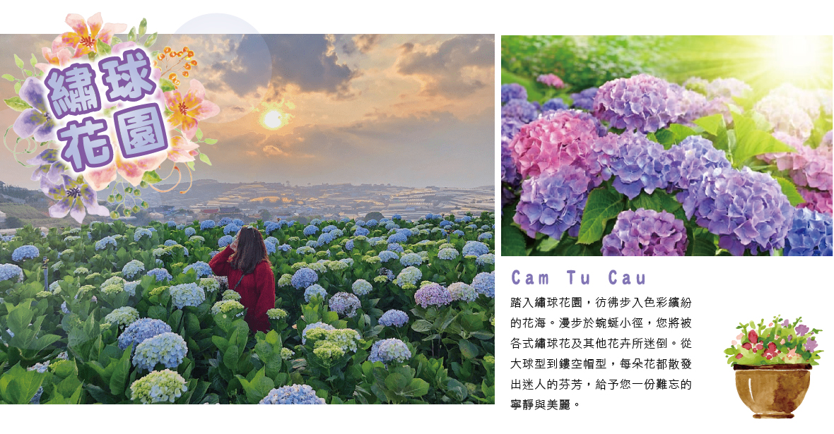 繡球花園Cam Tu Cau